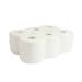 Essuie mains dévidage central 450 fts 20x30 cm ouate blanc ECO