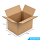 Carton Double Cannelure 300x200x170 mm