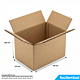 Carton Double Cannelure 315x210x200 mm