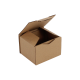Boîte postale Carton 120x100x80 mm