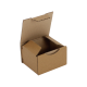 Boîte postale Carton 100x80x60 mm