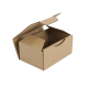 Boîte postale Carton 150x100x70 mm