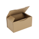 Boîte postale Carton 200x100x100 mm