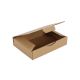 Boîte postale Carton 240x170x50 mm