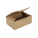 Boîte postale Carton 250x150x100 mm