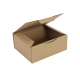 Boîte postale Carton 250x200x100 mm