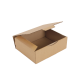 Boîte postale Carton 300x240x100 mm