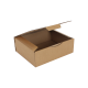 Boîte postale Carton 430x300x120 mm