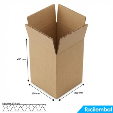 Carton Double Cannelure 250x250x450 mm