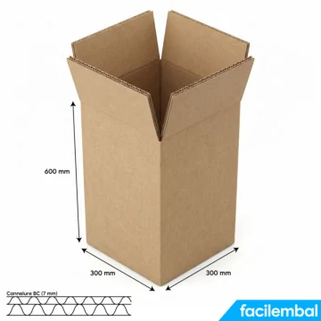 Carton Double Cannelure 300x300x600 mm