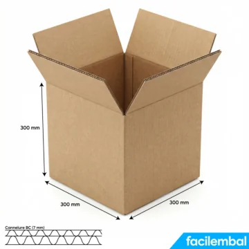 Carton Double Cannelure 300x300x300 mm