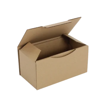 Boîte postale Carton 200x100x100 mm