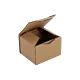 Boîte postale Carton 120x100x80 mm