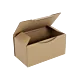 Boîte postale Carton 200x100x100 mm