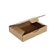 Boîte postale Carton 240x170x50 mm