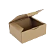Boîte postale Carton 250x200x100 mm