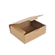 Boîte postale Carton 300x240x100 mm