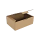 Boîte postale Carton 350x220x130 mm