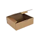 Boîte postale Carton 430x300x120 mm