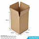 Carton Double Cannelure 160x160x300 mm