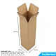 Carton Double Cannelure 100x100x1200 mm