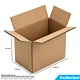Carton Double Cannelure 385x155x310 mm
