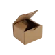 Boîte postale Carton 120x100x80 mm
