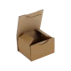 Boîte postale Carton 100x80x60 mm