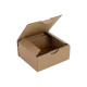 Boîte postale Carton 140x120x60 mm