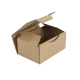 Boîte postale Carton 150x100x70 mm