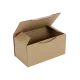 Boîte postale Carton 200x100x100 mm