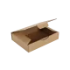 Boîte postale Carton 240x170x50 mm