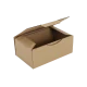 Boîte postale Carton 250x150x100 mm