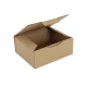 Boîte postale Carton 250x200x100 mm