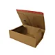 Boîte postale renforcée 460x310x160 mm patte adhésive